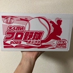 【取引中】プロ野球 ポテトチップス カード お菓子