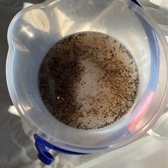 通常タイプエアコンクリーニング　現金のみ　領収書発行可