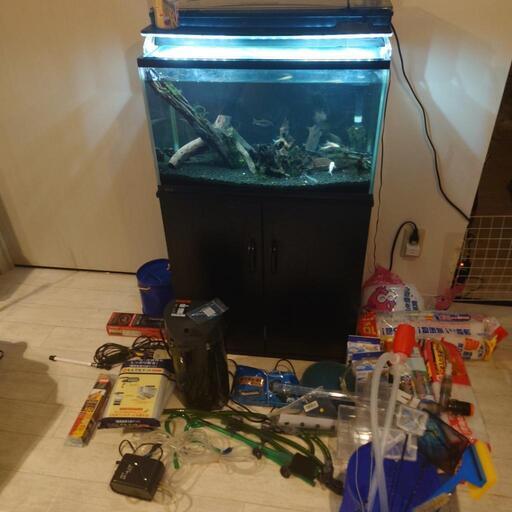 60cmワイド水槽 美品 使用期間5か月