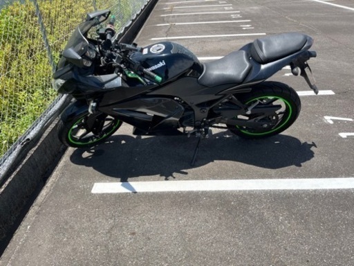 Ninja ニンジャ250R 黒　自賠責令和6年まで Ninja ニンジャ250R 黒 自賠責令和6年まで 【公式通販】