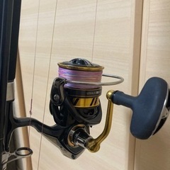 青物引退セット　お取引き中★