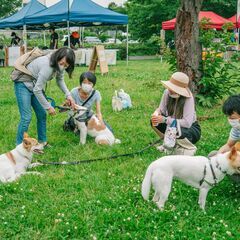 【キッチンカー募集】保護犬の里帰りイベント『HOMECOMING...