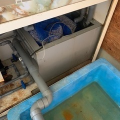 水槽セット、レーシーポンプセット