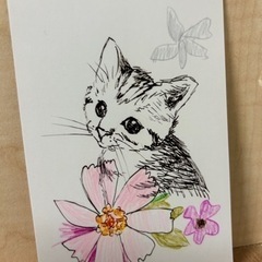 仔猫の絵はがき