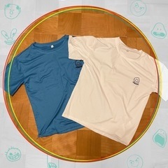 【ネット決済・配送可】【コーデ自由自在】レディース用Tシャツ可愛...