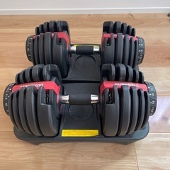 可変式ダンベル24kg