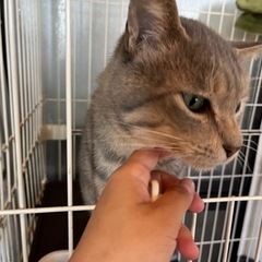 人懐っこくて甘えん坊の「パティ」くん🥰