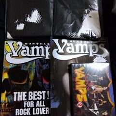 VAMPS Vo.13