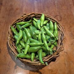 米ぬかで畑の肥料づくり&そら豆で豆板醤づくり&グミジュース&梅もぎ