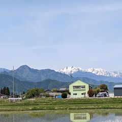 【送迎ドライバー/未経験OK】シフト柔軟/働きやすい環境/お気軽...