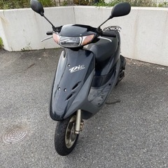 HONDA ライブディオ  AF35