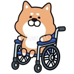 犬用車椅子〜オーダーメイド〜