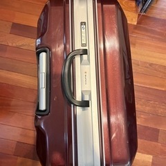 少し大きめのスーツケース（TSA対応）