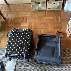 引っ越しで、スーツケースやバッグを譲る。
