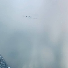 ET2821番⭐️Panasonicノンフロン冷凍冷蔵庫⭐️