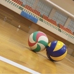 土日活動🏐バレーボールメンバー男女募集‼︎ソフトバレー未経…