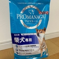 柴犬 ご飯 プロマネージャー 残量多