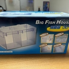 淡水魚　隔離箱