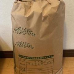 茨城県産　コシヒカリ　10キロ1袋