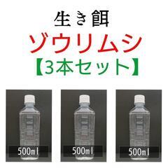 【ネット決済・配送可】ゾウリムシ500ml　【3本】セット