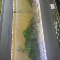 オーバーフロー水槽60一式　定価10万以上