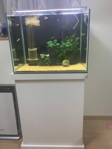 オーバーフロー水槽60一式　定価10万以上