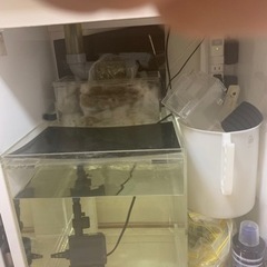 オーバーフロー水槽60一式　定価10万以上