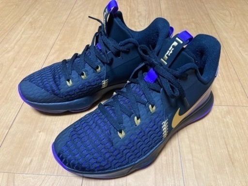 ★NIKE★LEBRON WITNESS V EP_ナイキレブロンウィットネス 5 EP/28cm