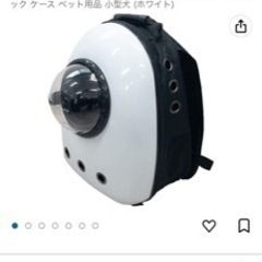 ペットキャリー 宇宙船 リュック