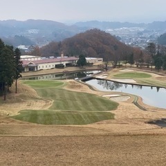 平日限定ゴルフ仲間募集⛳️