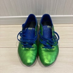 PUMA EVO SPEED スパイク