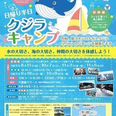 八景島マリーナで、半日クジラキャンプ　予約受付中！