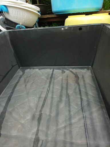 80L7個 60L3個 歪んでいる60L4個 トロ舟 メダカ 金魚 アクアリウム