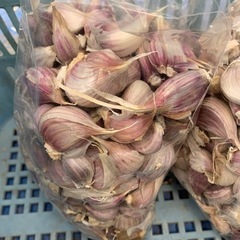 香川県産乾燥ニンニク　1キロ　バラ