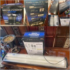 ガラス水槽本体、濾過槽（現状品）、ライト※魚は付きません。