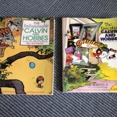 Calvin and Hobbes