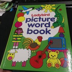 Lady bird picture word book
