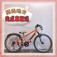 【ネット決済・配送可】【116】子供用自転車 MTB DRIDE...