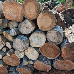 広葉樹様々 薪材 玉切材 