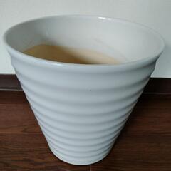 陶器の白い鉢