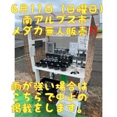 予定通り行います。6月11日（日）　メダカ販売10:00〜4:3...