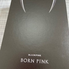 【ネット決済】PinkVenom
