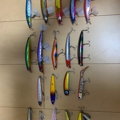 シーバス　フラットフィッシュ