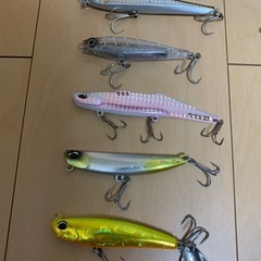 シーバス　フラットフィッシュ