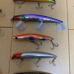 シーバス　フラットフィッシュ