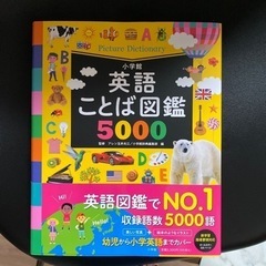 英語ことば図鑑5000 新品未使用