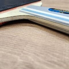 Butterfly Viscaria ALC (ch. Penhold)