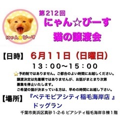 6月11日(日)🌸にゃん☆ぴーす猫の譲渡会🌸「ペテモピアシティ稲...