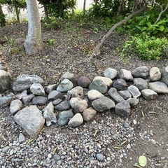 庭石　囲み石　鑑賞石　たくさん