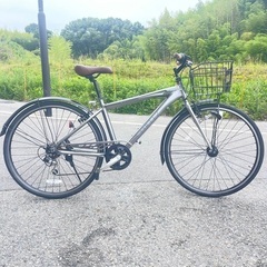 美品！サカモトテクノ CORTEZ コルテス